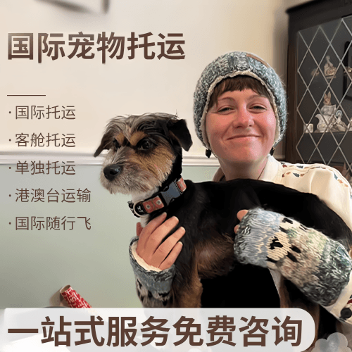 桂林市国际宠物托运到阿根廷宠物入境规定和要
