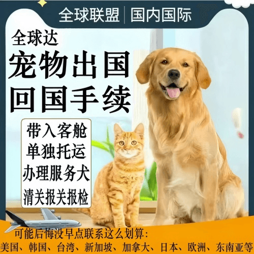 桂林市宠物托运到柬埔寨宠物入境规定和要求