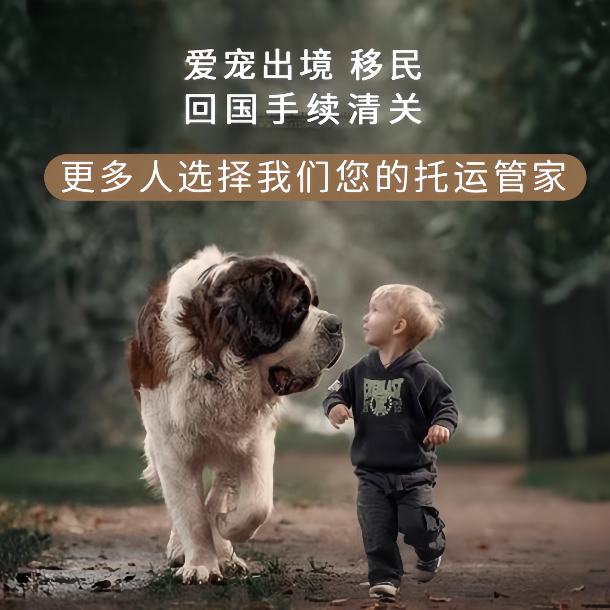 满财桂林市宠物全球达宠物托运在遵守入境目的地政策的条件
