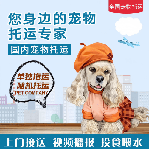 满财桂林市宠物全球达宠物托运作为专业的宠物运输代理机构